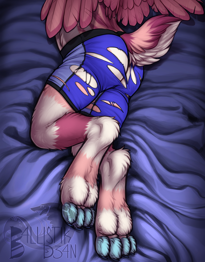 4.4 boxer briefs (TORN) [$2]