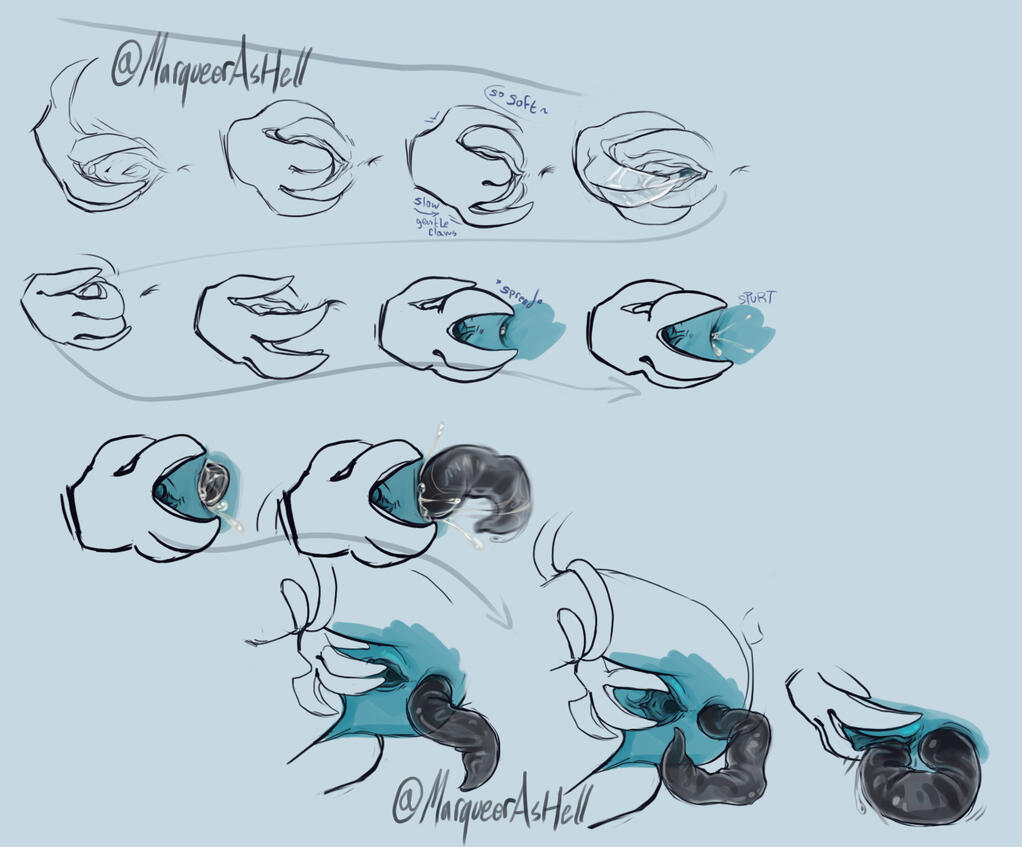 all-the-way-through fun