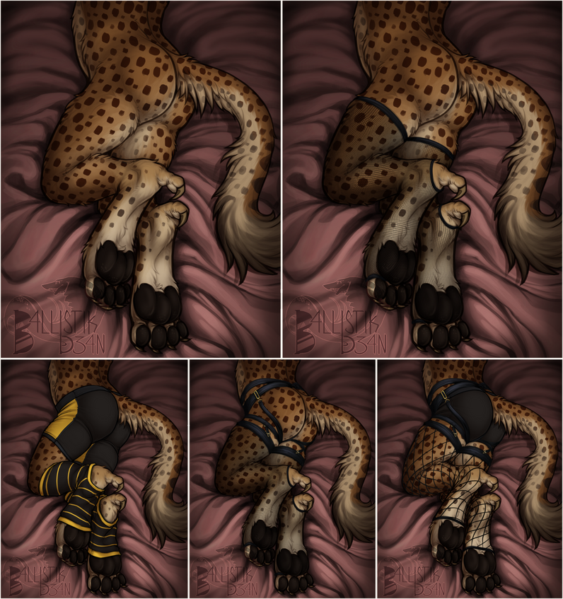Squishy Pawpads collage