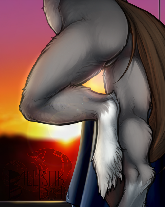 fetlock feathers + long horse tail